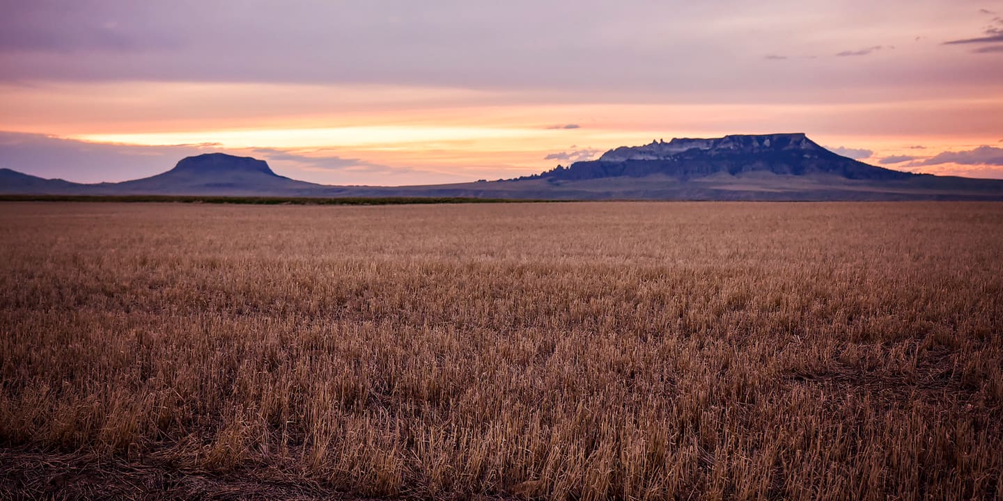 A wheat field at sunset with flat-topped buttes on the horizon